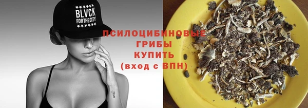 СК Абинск
