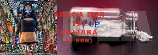 PSILOCYBIN Абдулино