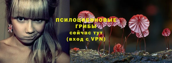 PSILOCYBIN Абдулино