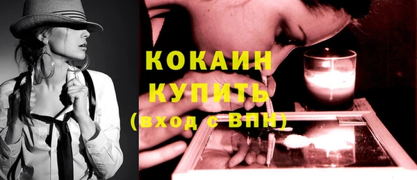 винт Абаза
