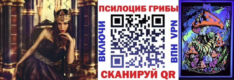 Галлюциногенные грибы мухоморы  где продают   Холм 